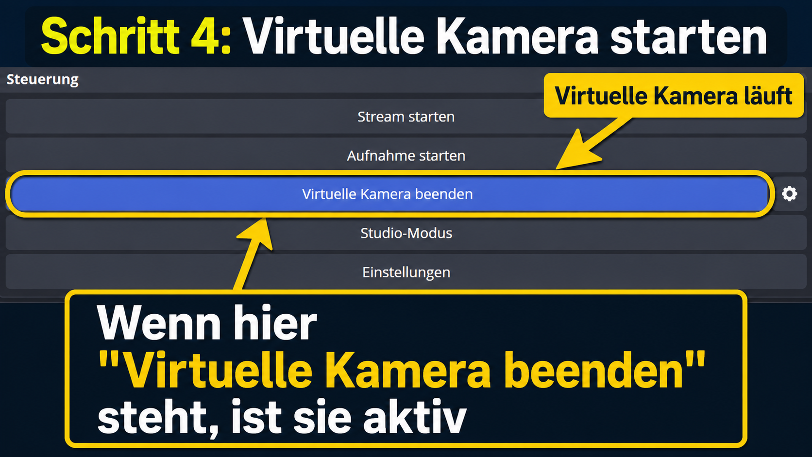 Virtuelle Kamera in OBS starten